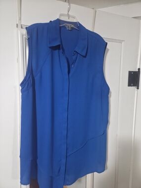 The Limited Sleeveless Button-Front Blouse - Blue